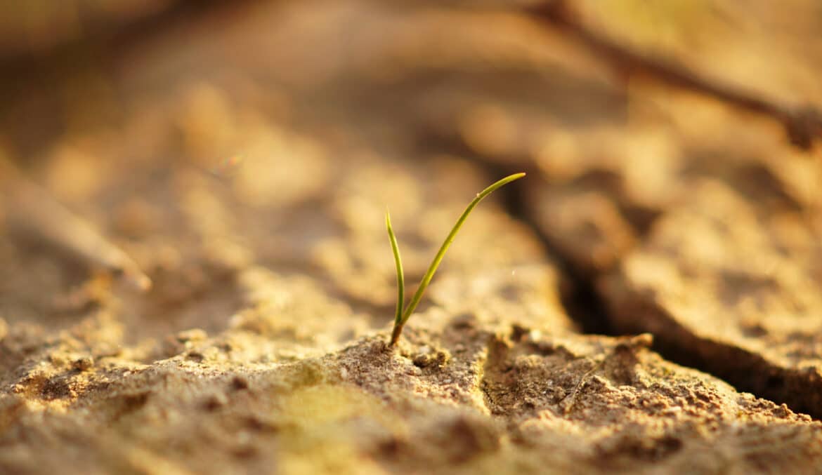 resilience