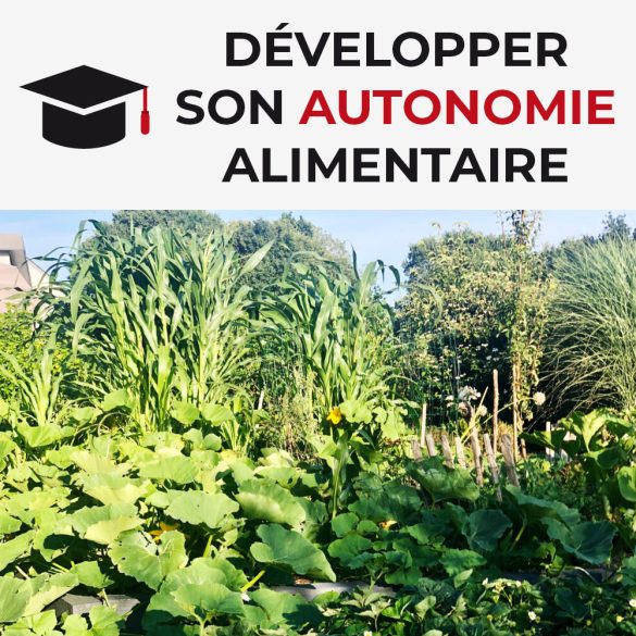 Développer son autonomie alimentaire