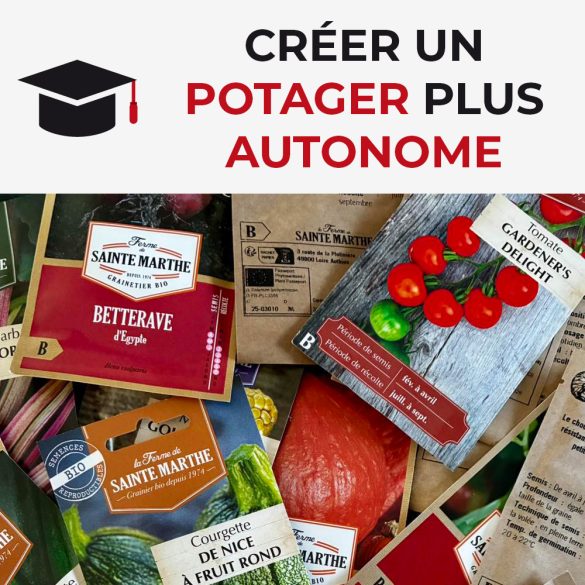 Créer un potager plus autonome