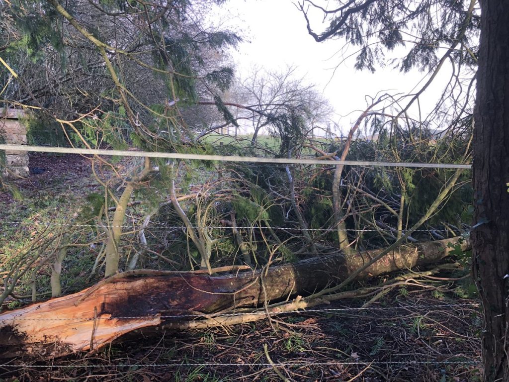 Arbre tombé après une tempête, exemple de travail imprévu pour entretenir le réel